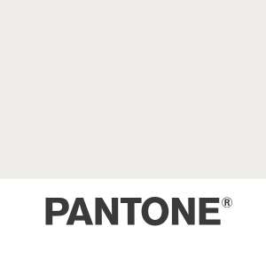 Pantone's 2026 Color of the Year, Cloud Dancer white, displayed on a color chip with PANTONE branding below.